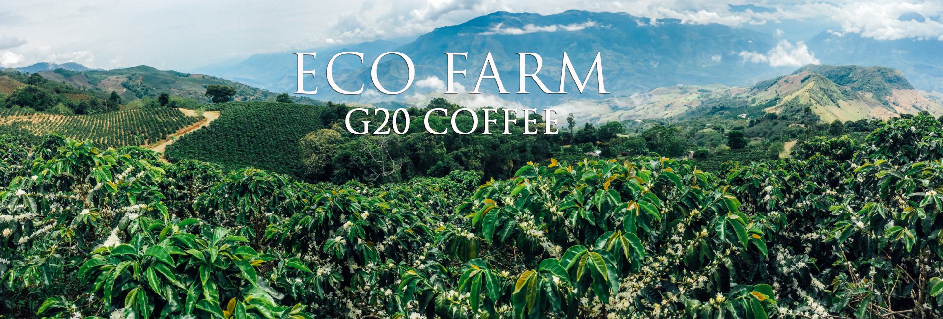 ECO FARM G20 COFFEE
