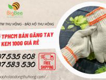 Công ty ở TPHCM bán găng tay len kem 100g giá rẻ