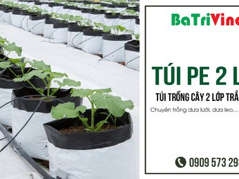 Túi PE trồng cây 2 lớp trắng đen - Vật tư nông nghiệp công nghệ cao trồng nhà màng nhà kính