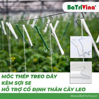 Móc sắt treo dây (Kèm dây SE)