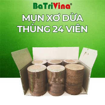 [FreeShip] Mụn Dừa Ép Bánh BaTriVina (Thùng 24 viên 450 gram)