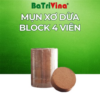 [FreeShip] Block 4 viên Mụn Dừa Ép Bánh BaTriVina