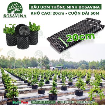 [FreeShip] (Cao 20 cm - Cuộn dài 50 m - Dày 0.7) Bầu Ươm Thông Minh BoSaVina  