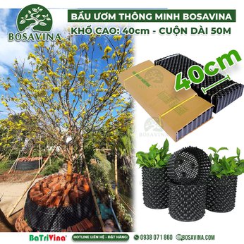 [FreeShip] (Cao 40 cm - Cuộn dài 50 m - Dày 0.7) Bầu Ươm Thông Minh BoSaVina  