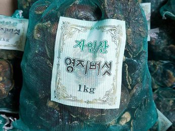 Tổng hợp công dụng của nấm linh chi núi Hàn Quốc 