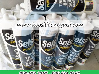 NHÀ PHÂN PHỐI SỈ VÀ LẺ KEO SILICONE SELSIL TSEAL 8000