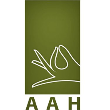 AAH Corp