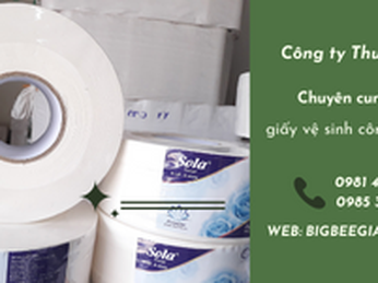Nơi bán giấy vệ sinh sola cuộn lớn 700g giá rẻ, chất lượng