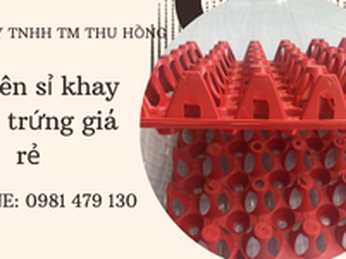 Cung cấp Khay nhựa thu gom, phân loại trứng gà vịt sau đẻ.