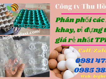 Phân phối các loại khay, vỉ đựng trứng giá rẻ nhất TPHCM