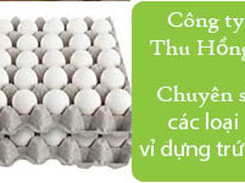 Xưởng cung cấp khay- vỉ- hộp đựng trứng tại TpHCM