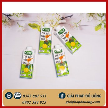 LỐC 4 TRÀ TẮC MẬT ONG PHA SẴN COZY