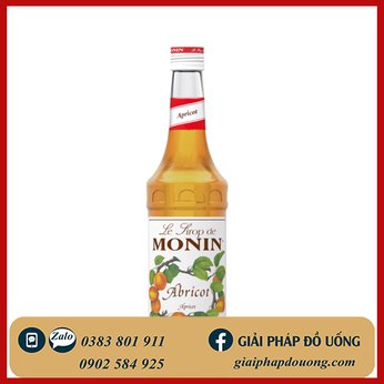 MONIN APRICOT