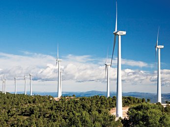 Không được gia hạn giá FIT, nhiều doanh nghiệp điện gió có nguy cơ phá sản