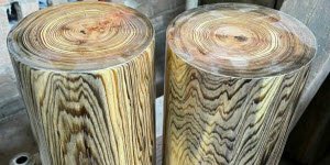 Gỗ thủy tùng là gỗ gì, thuộc nhóm mấy và có tác dụng gì?